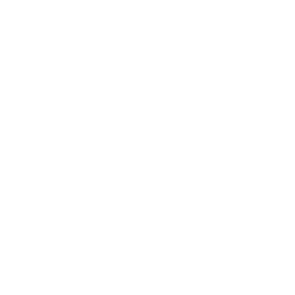Disney Wish ship wheel detail
